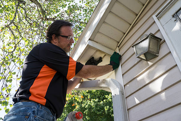 Best Historical Building Siding Restoration  in Belle Isle, FL